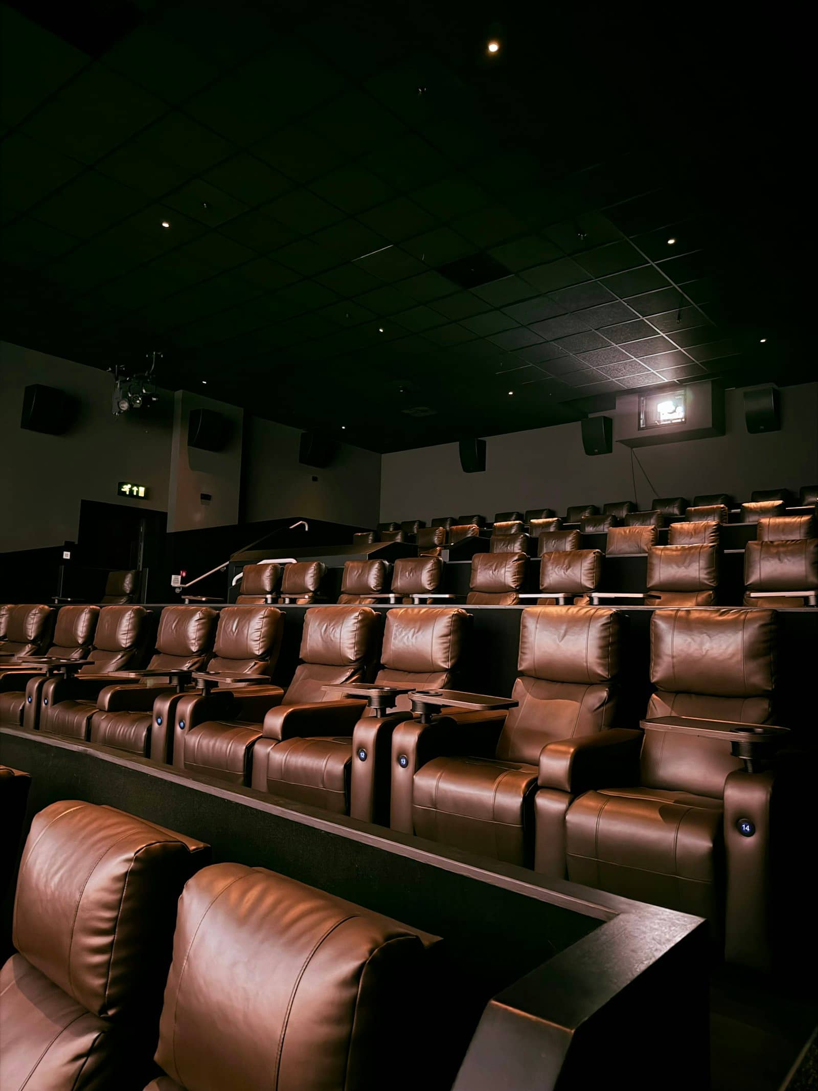 Sinema Salonu